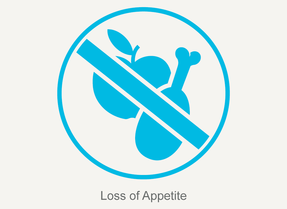 Common symptoms: Loss of Appetite, Hepatitis C, Ashray Mylan